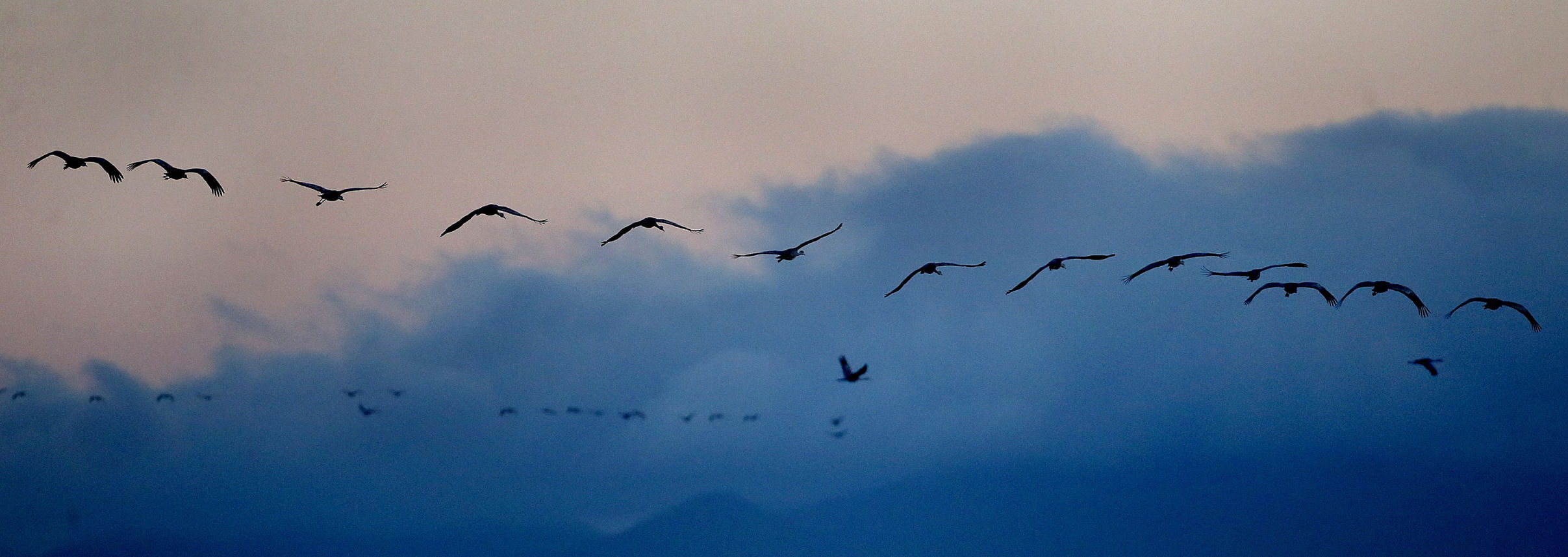 2018 Wings over Willcox